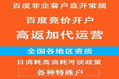 深度解析百度竞价公司的广告投放策略及效果
